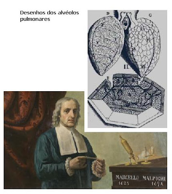quien descubrio solfa syllable circulacion sanguinea pulmonar